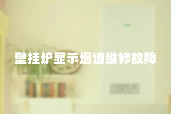壁掛爐顯示煙道維修故障
