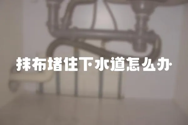 抹布堵住下水道怎么辦