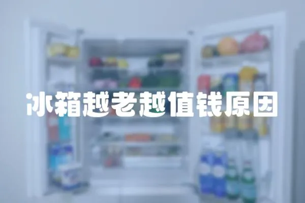 冰箱越老越值錢原因
