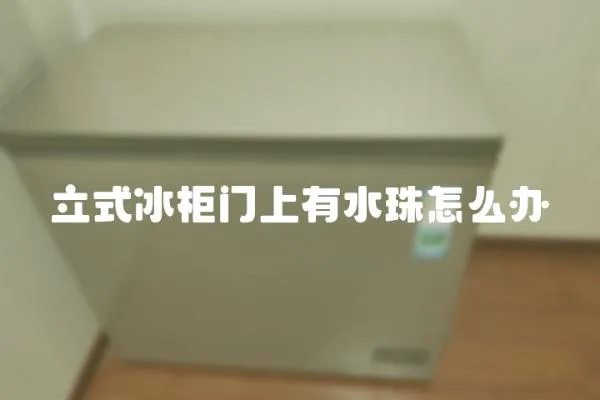 立式冰柜門上有水珠怎么辦
