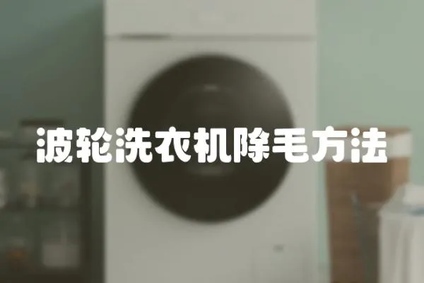 波輪洗衣機除毛方法