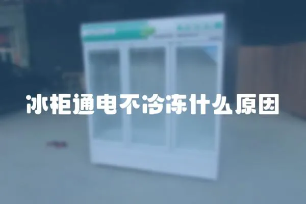 冰柜通電不冷凍什么原因
