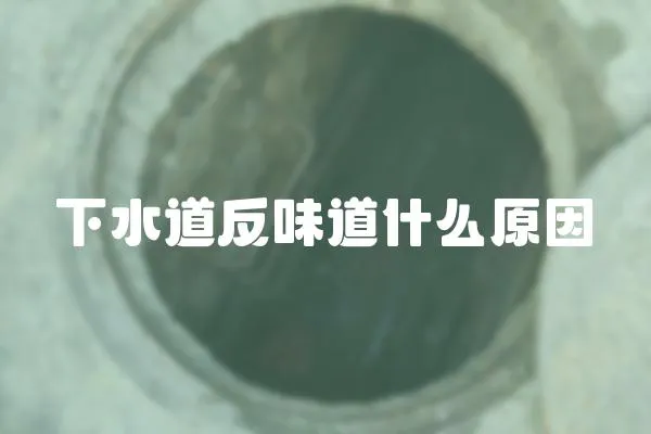 下水道反味道什么原因