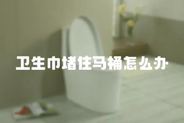 衛生巾堵住馬桶怎么辦