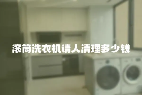 滾筒洗衣機請人清理多少錢