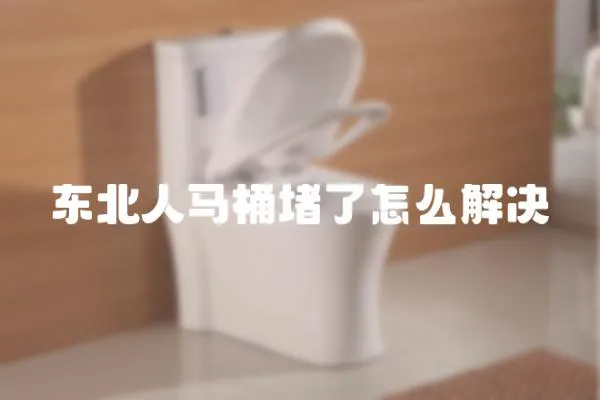 東北人馬桶堵了怎么解決