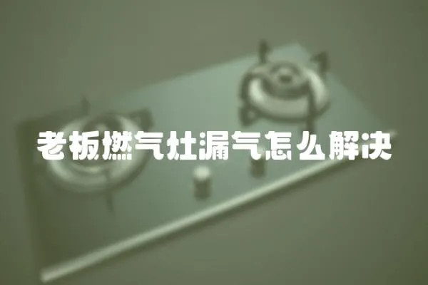 老板燃氣灶漏氣怎么解決
