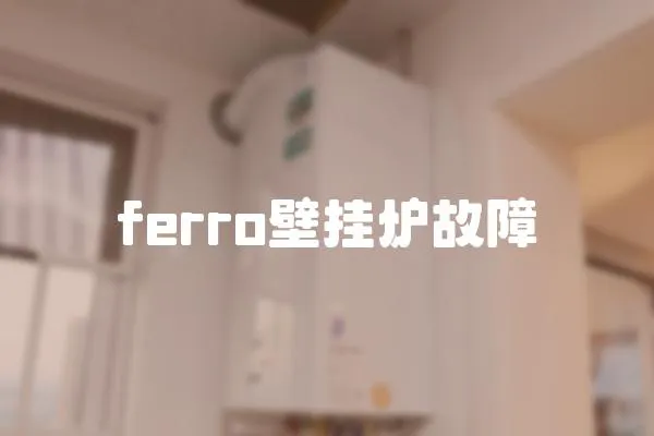 ferro壁掛爐故障