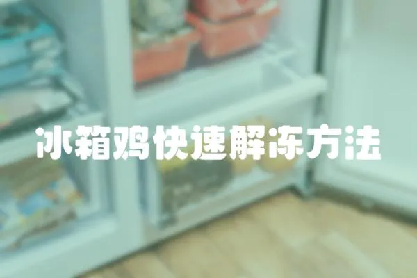 冰箱雞快速解凍方法