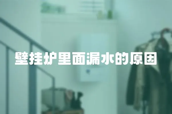 壁掛爐里面漏水的原因