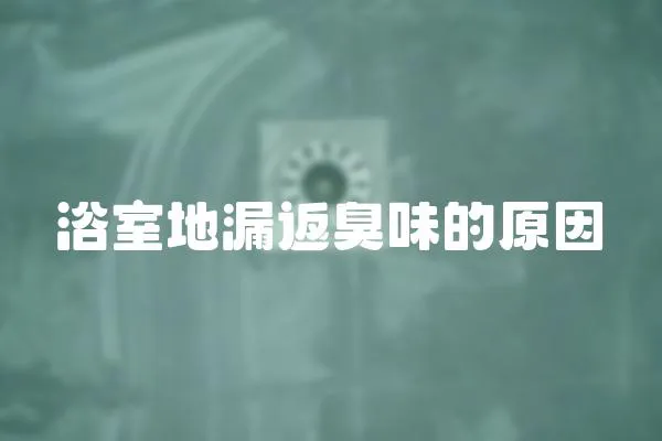 浴室地漏返臭味的原因