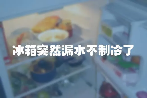 冰箱突然漏水不制冷了