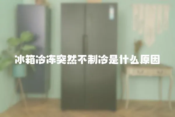 冰箱冷凍突然不制冷是什么原因