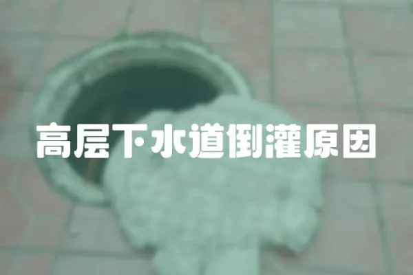 高層下水道倒灌原因