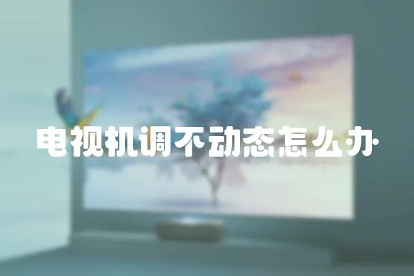電視機調不動態怎么辦
