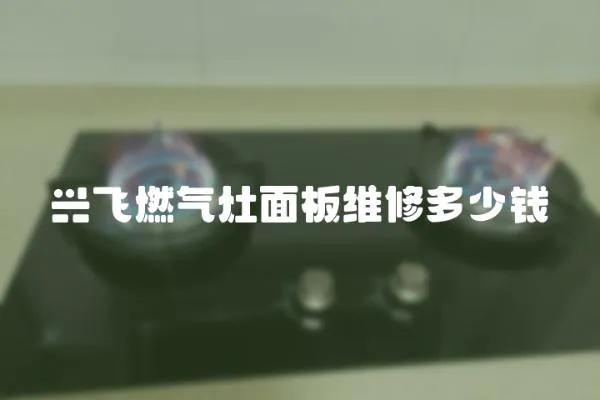 興飛燃?xì)庠蠲姘寰S修多少錢