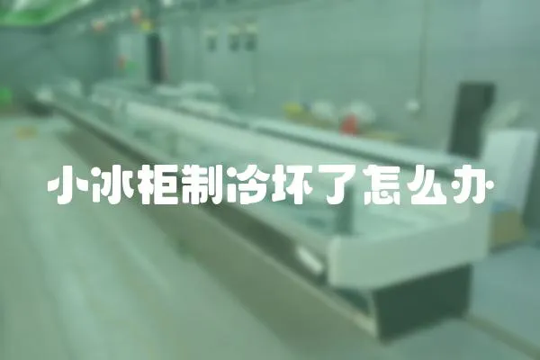 小冰柜制冷壞了怎么辦