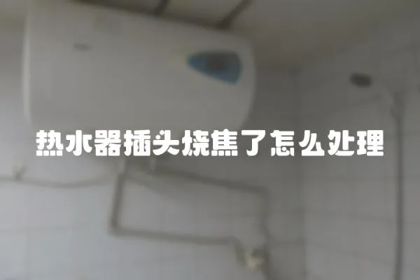 熱水器插頭燒焦了怎么處理