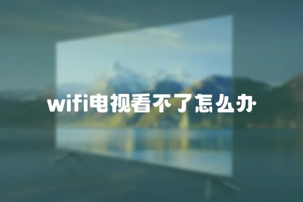 wifi电视看不了怎么办