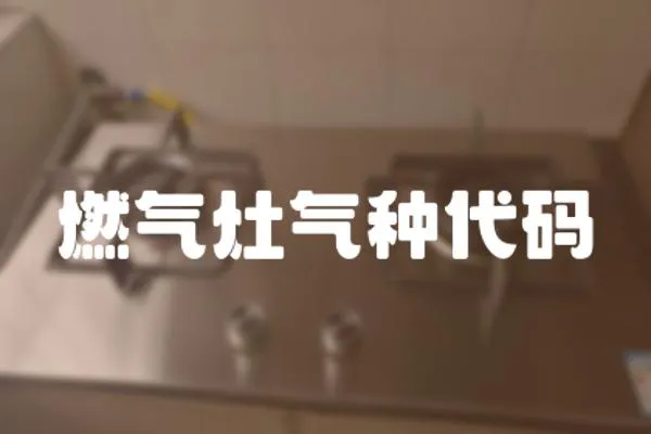 燃氣灶氣種代碼