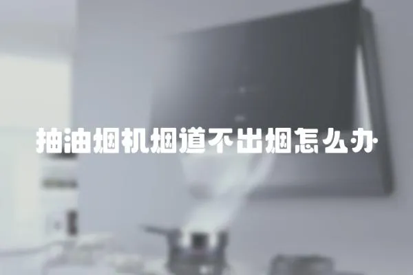 抽油煙機煙道不出煙怎么辦
