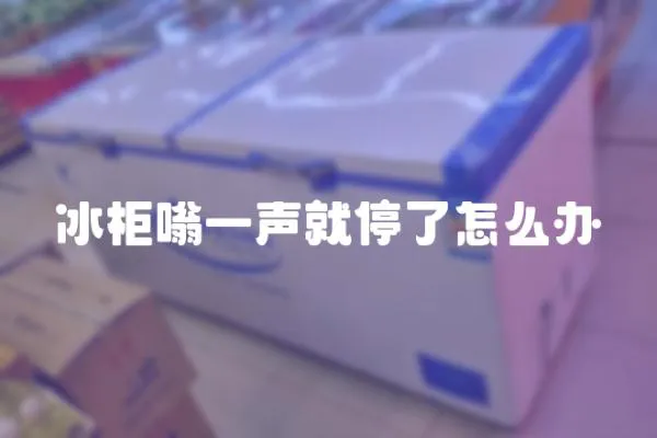 冰柜嗡一聲就停了怎么辦