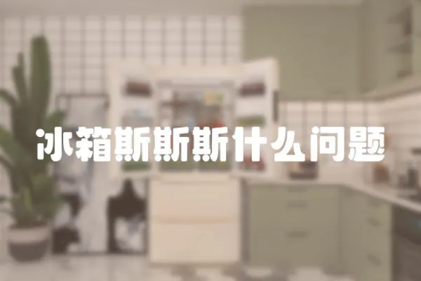 冰箱斯斯斯什么問題