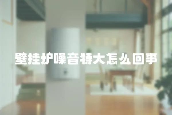 壁掛爐噪音特大怎么回事