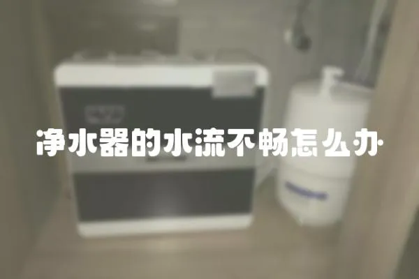 凈水器的水流不暢怎么辦