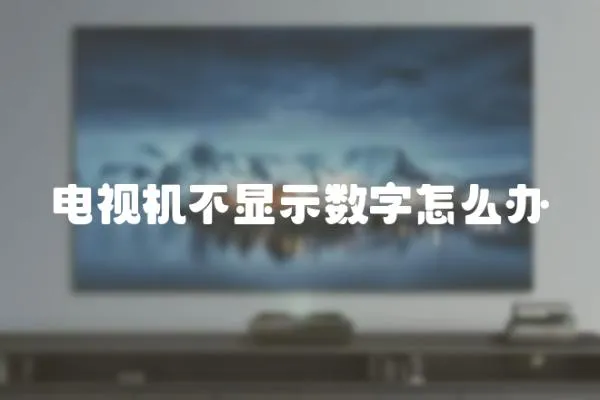 電視機不顯示數字怎么辦