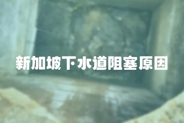 新加坡下水道阻塞原因