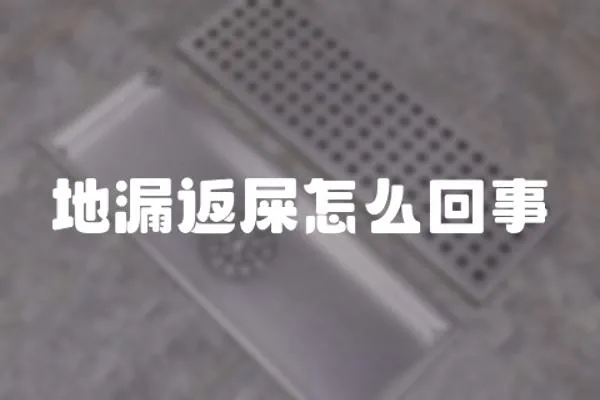 地漏返屎怎么回事