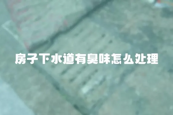 房子下水道有臭味怎么處理