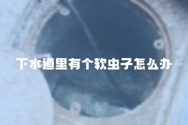 下水道里有個軟蟲子怎么辦