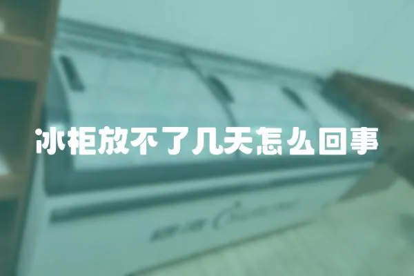 冰柜放不了幾天怎么回事