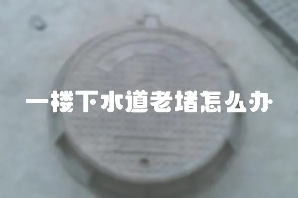 一樓下水道老堵怎么辦