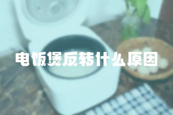 電飯煲反轉(zhuǎn)什么原因