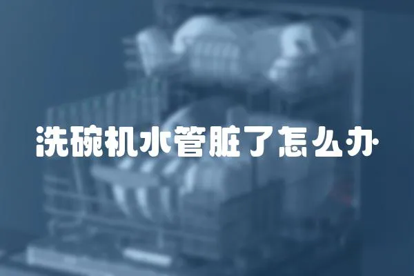 洗碗機水管臟了怎么辦