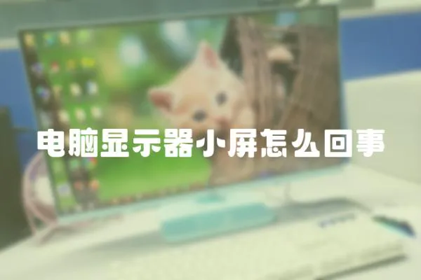 電腦顯示器小屏怎么回事