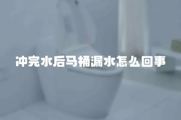 沖完水后馬桶漏水怎么回事
