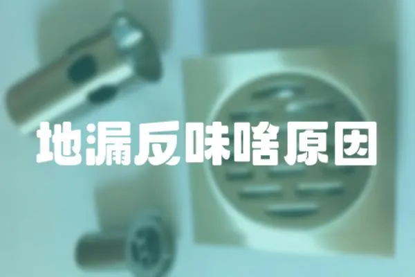 地漏反味啥原因