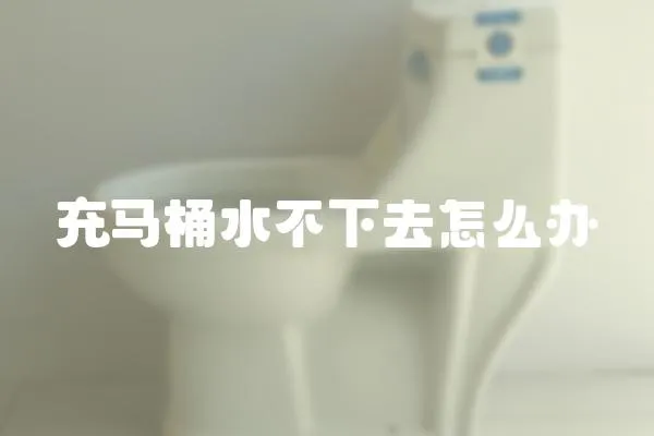 充馬桶水不下去怎么辦