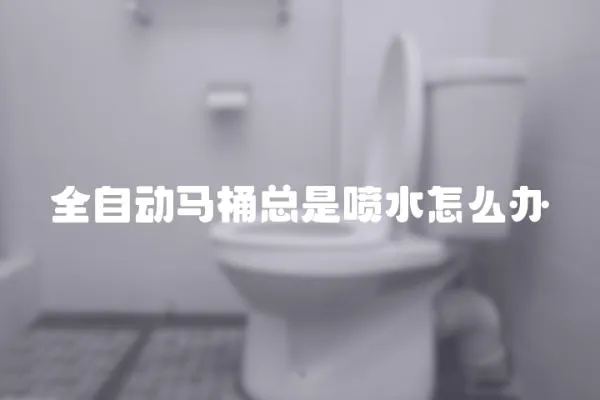 全自動馬桶總是噴水怎么辦