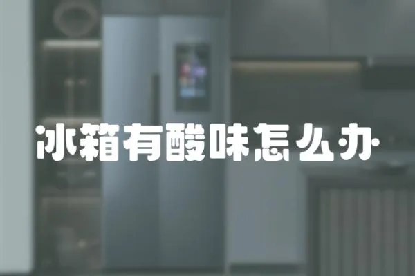 冰箱有酸味怎么辦