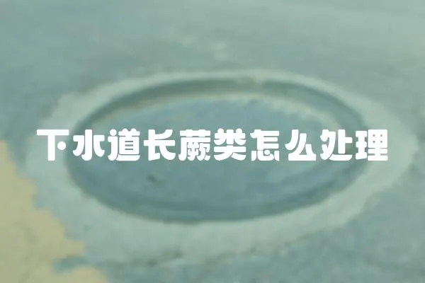 下水道長蕨類怎么處理