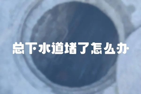 總下水道堵了怎么辦