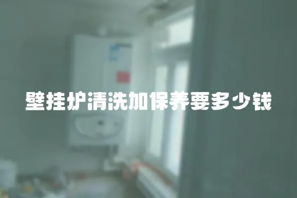 壁掛爐清洗加保養要多少錢