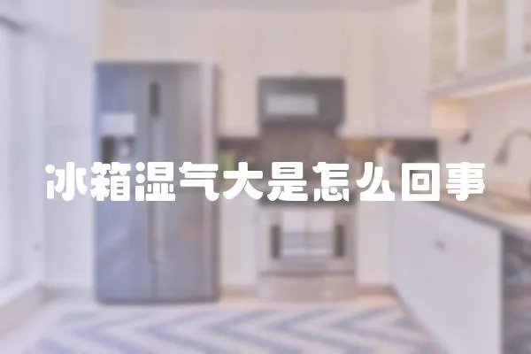冰箱濕氣大是怎么回事