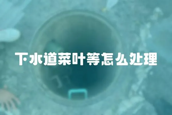 下水道菜葉等怎么處理