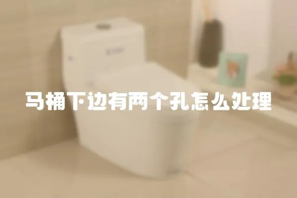 馬桶下邊有兩個孔怎么處理